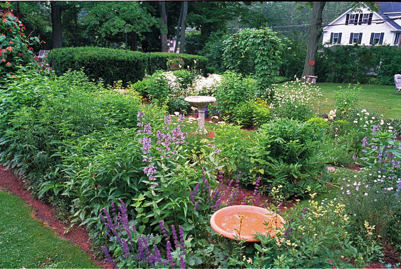 Herb and Tea Garden Delight