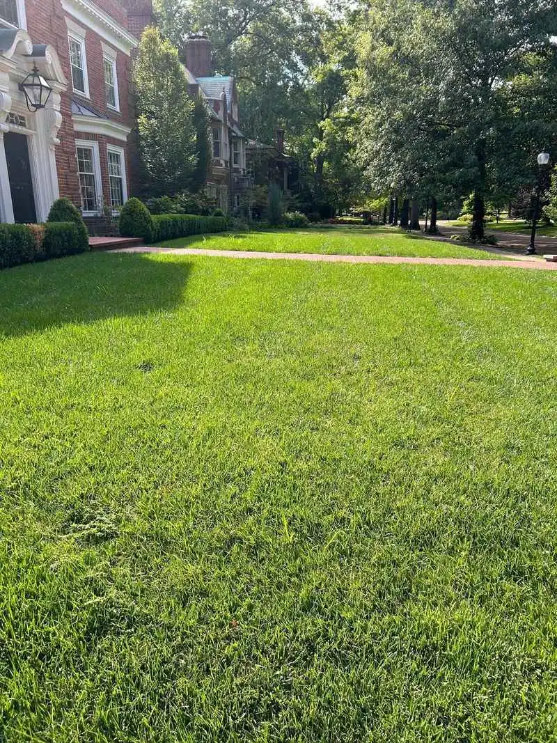 Herbicide-Free Lawns