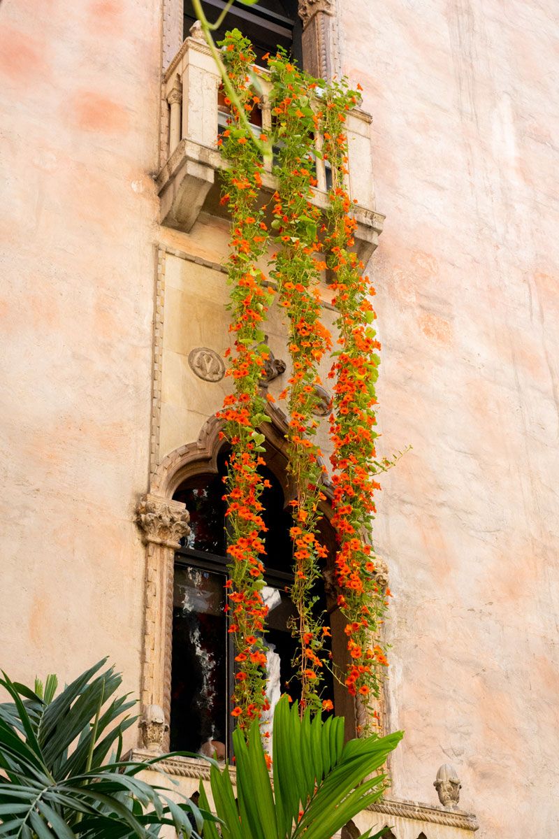 Historical Building Facades