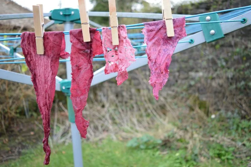 Homemade Dye for Fabrics