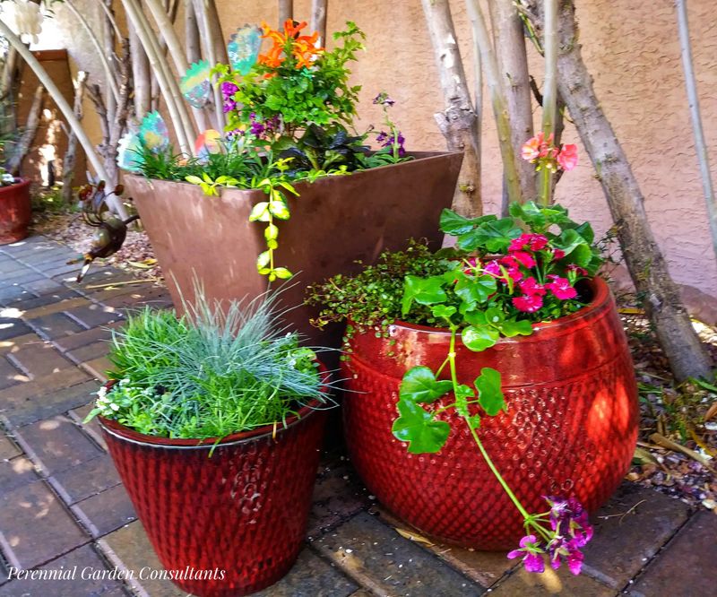 Grouping Plants