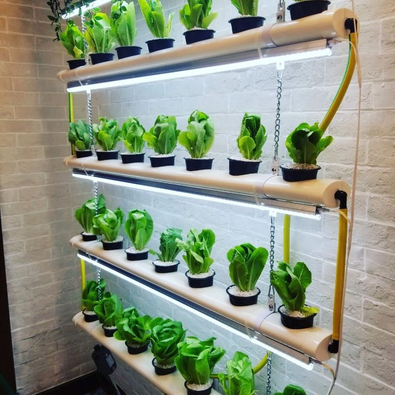 Hydroponic Shelves