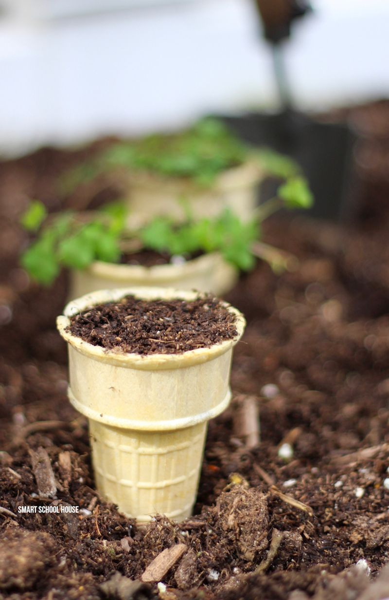 Ice Cream Cones
