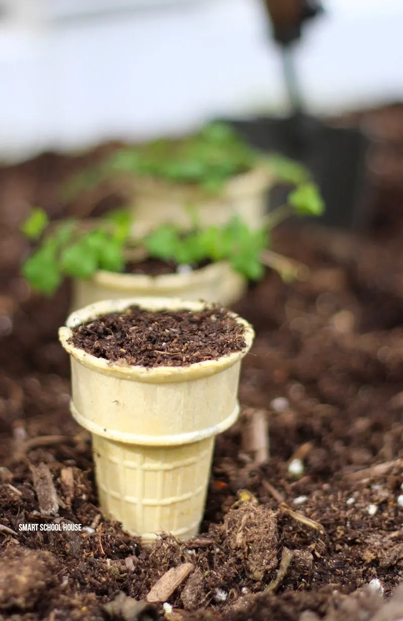 Ice Cream Cones