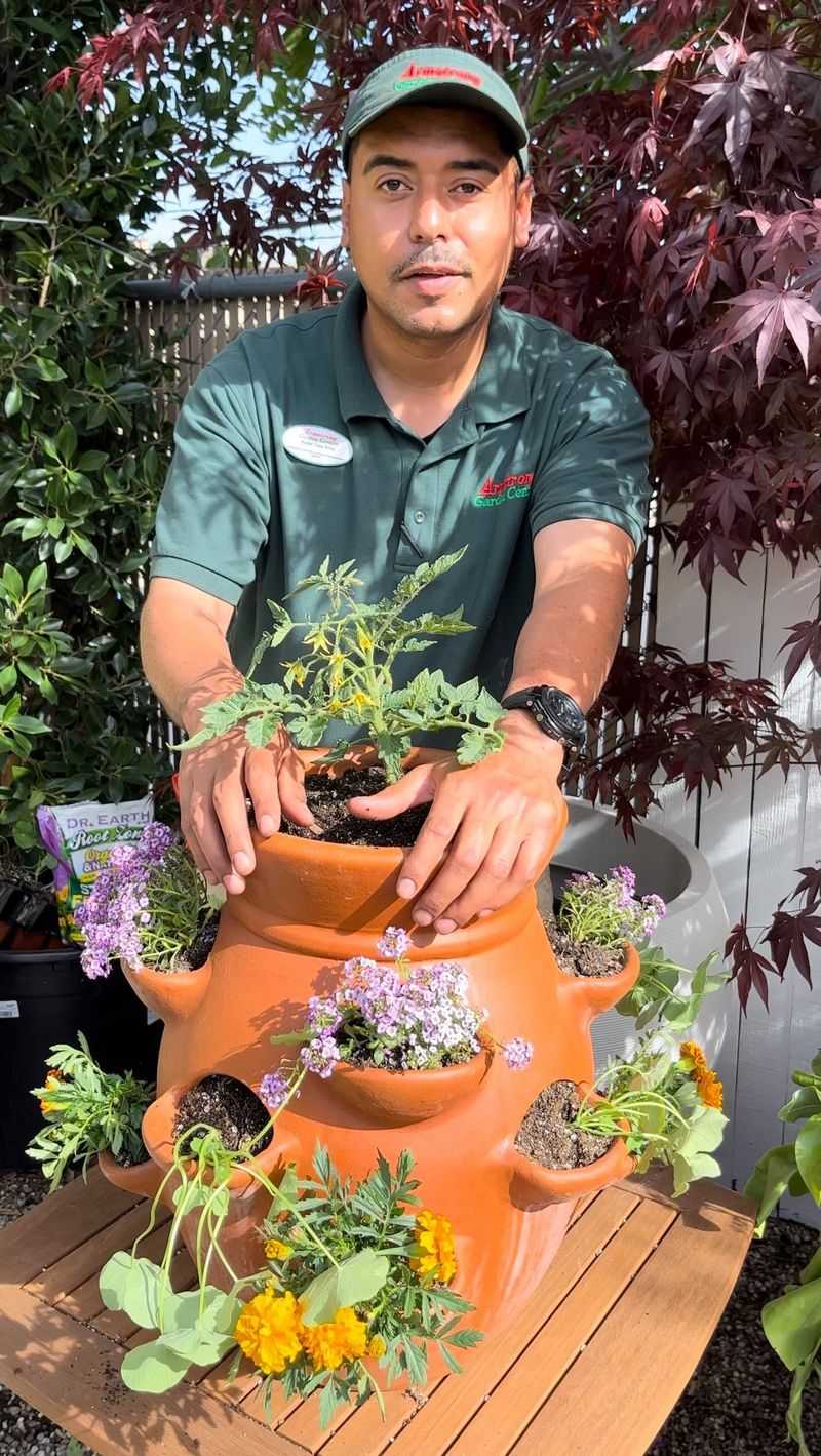 Ignoring Companion Planting