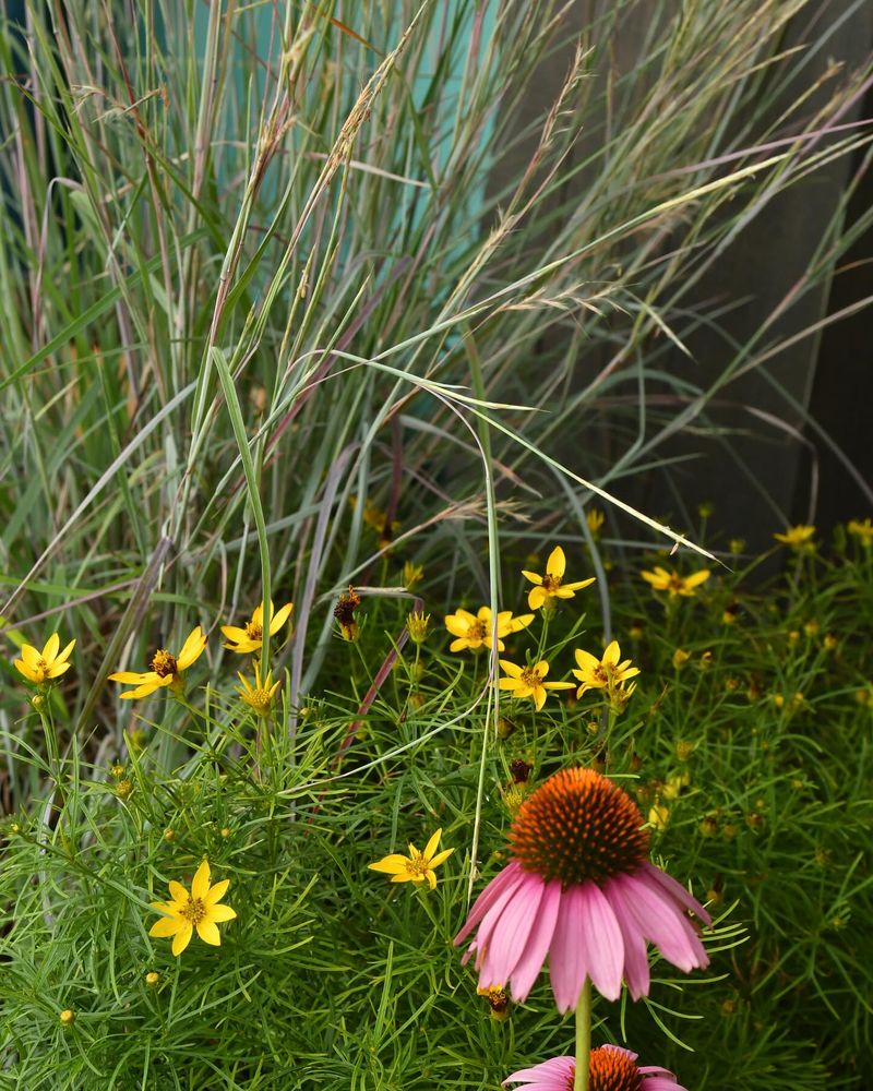 Ignoring Native Plants