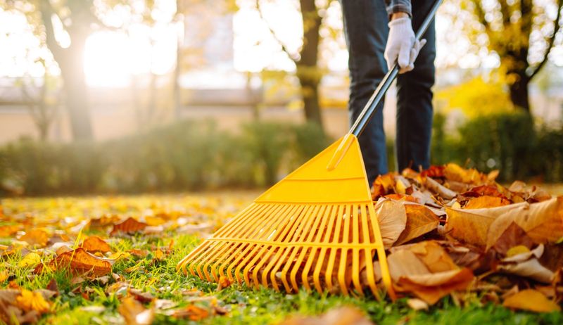 Ignoring Pest Management