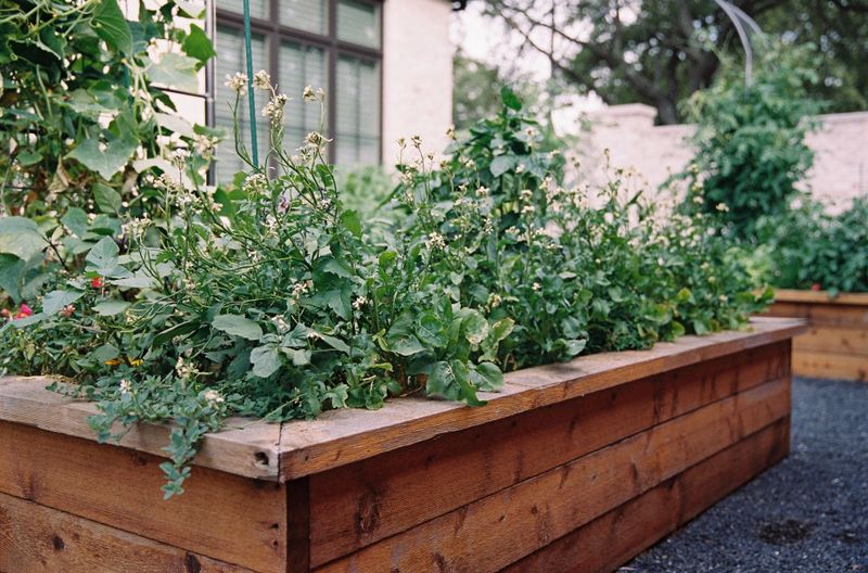 Ignoring Plant Labels