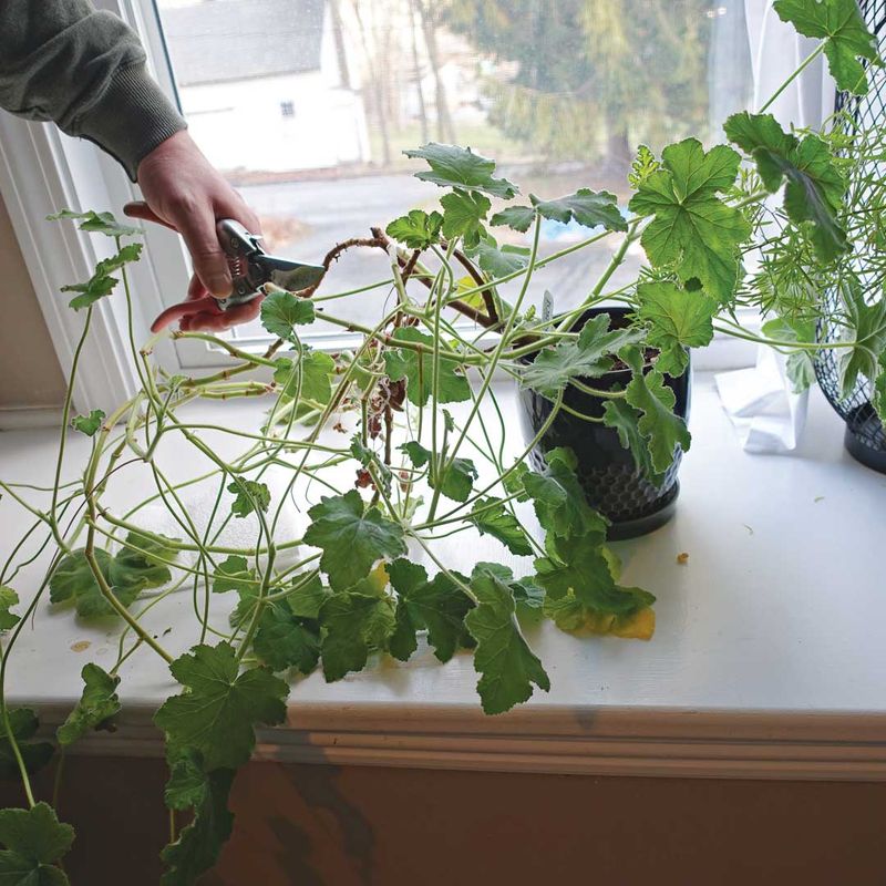 Ignoring Seasonal Changes