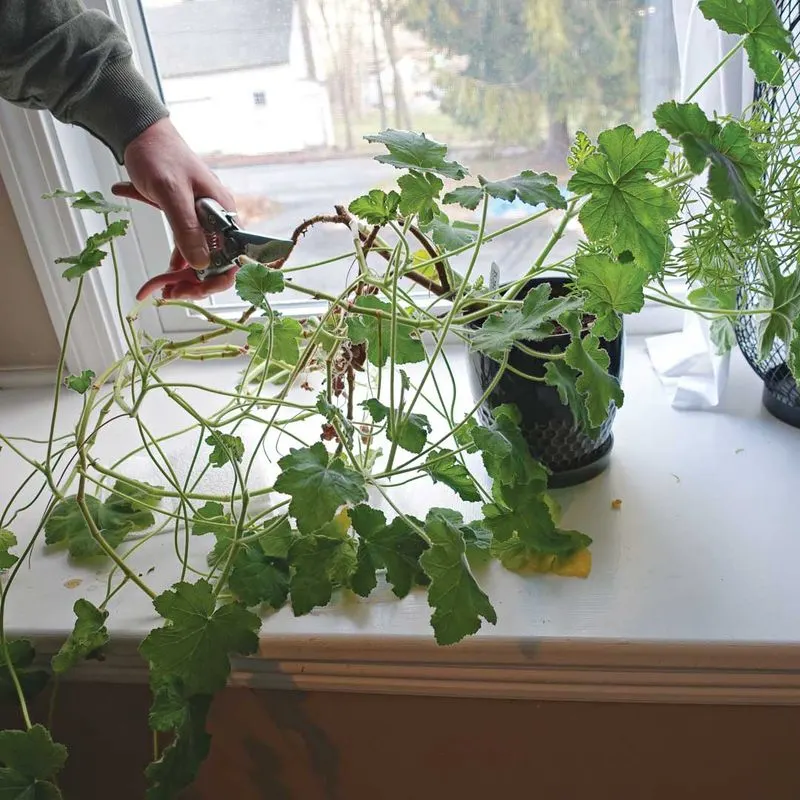 Ignoring Seasonal Changes