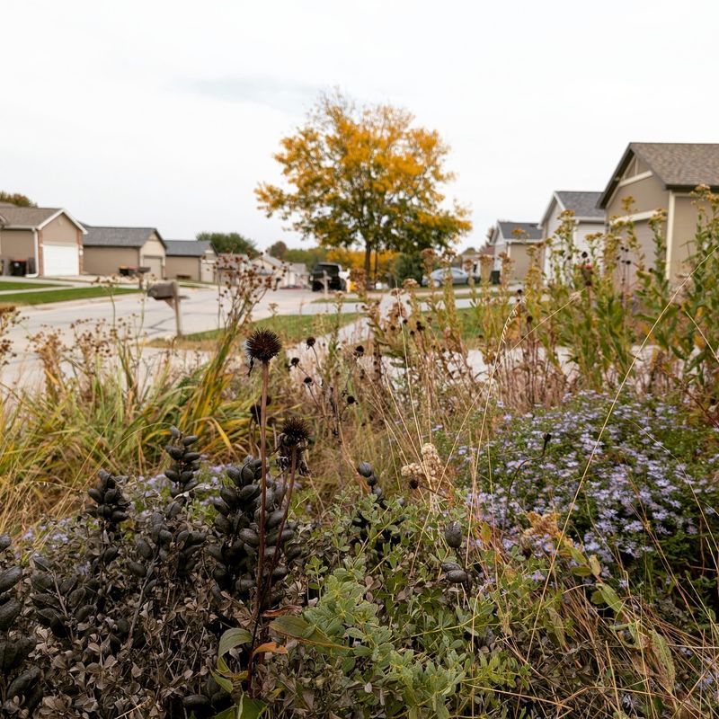 Ignoring Seasonal Changes