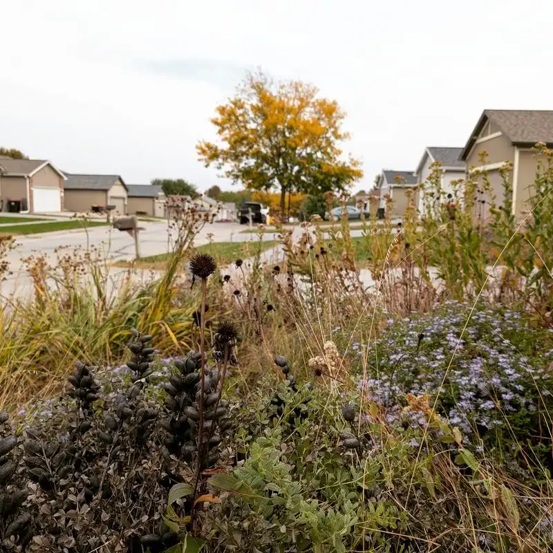 Ignoring Seasonal Changes