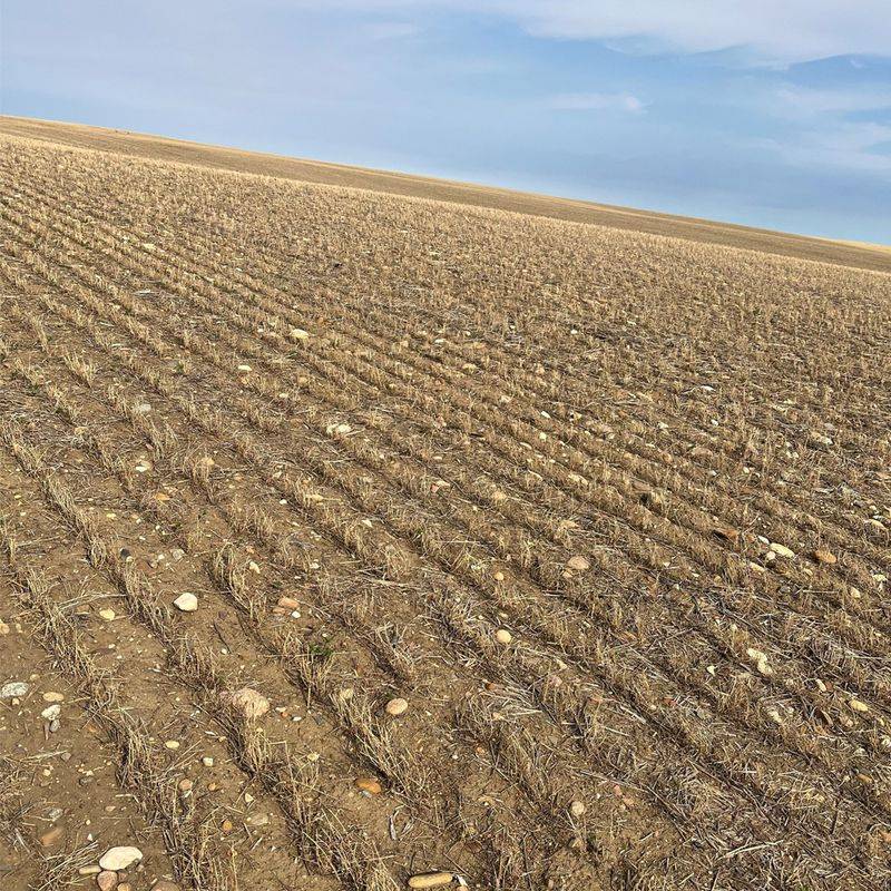 Ignoring Soil Erosion
