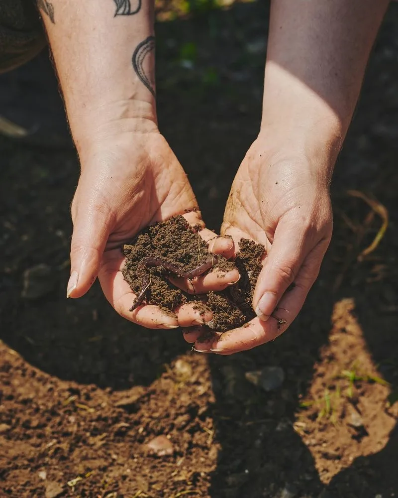 Ignoring Soil Health