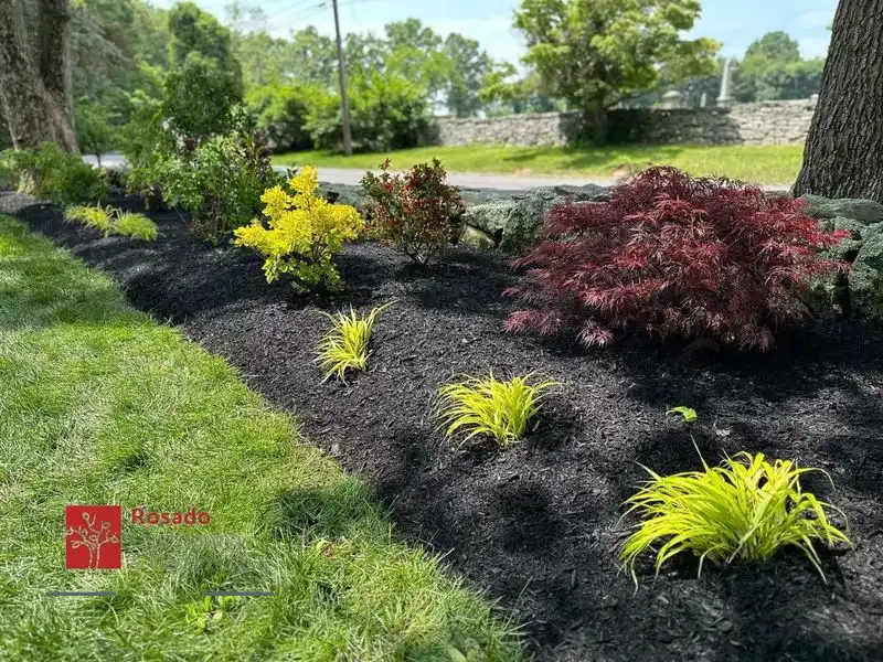 Ignoring Soil Quality
