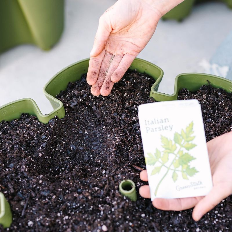 Ignoring Soil Quality
