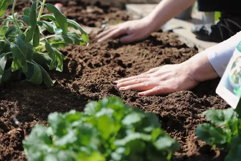 Ignoring Soil Quality