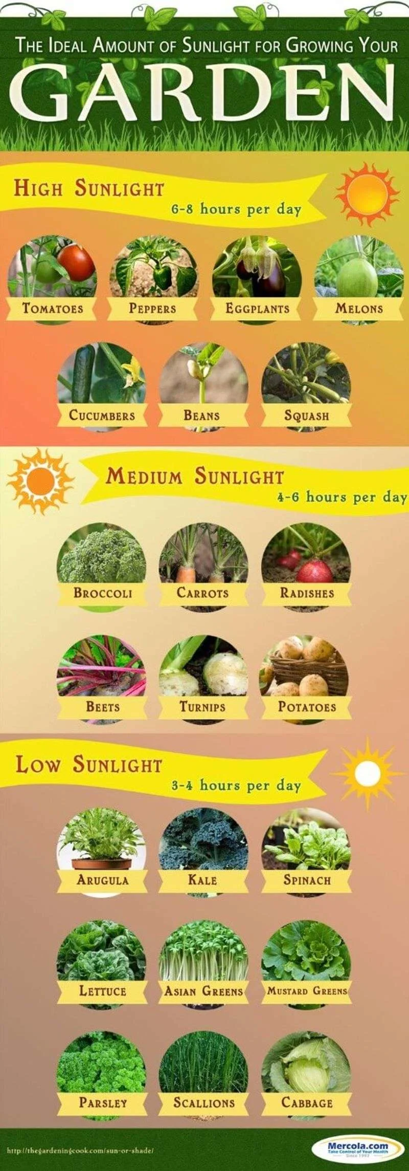 Ignoring Sunlight Requirements