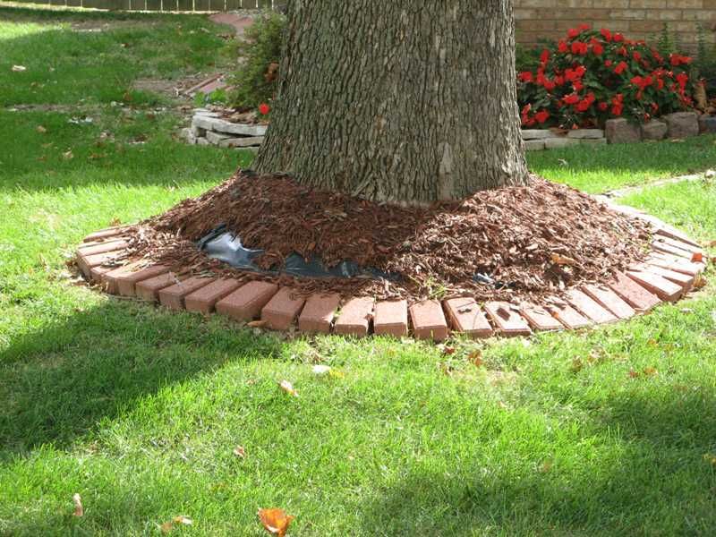 Improper Mulching