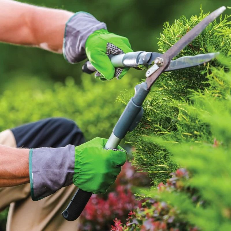 Improper Pruning
