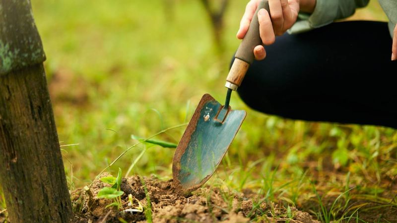 Improper Tool Maintenance