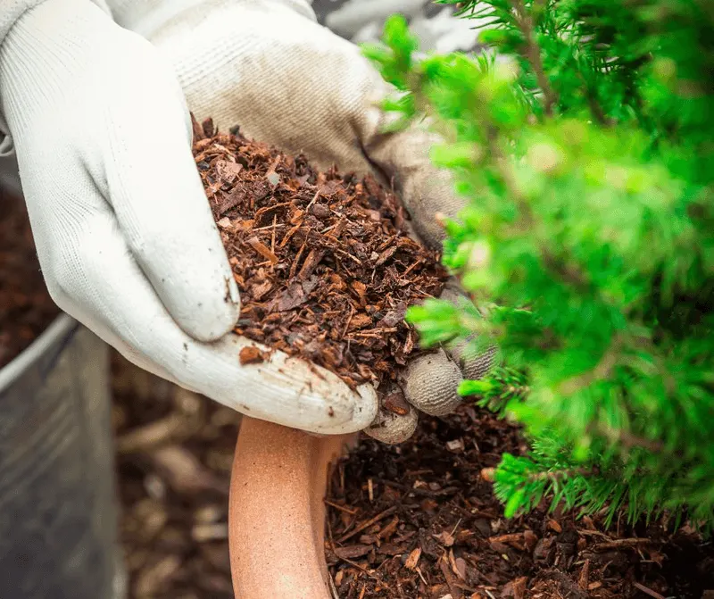 Improved Soil Temperature Regulation
