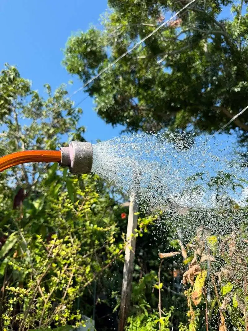Inconsistent Watering