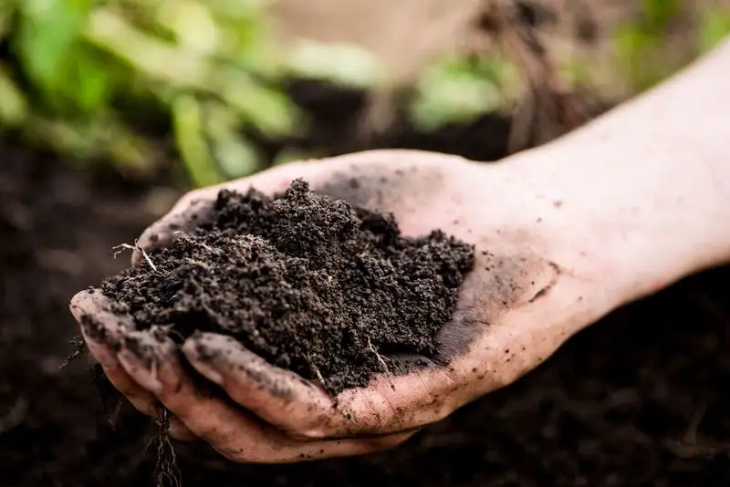 Incorporate Coffee Grounds