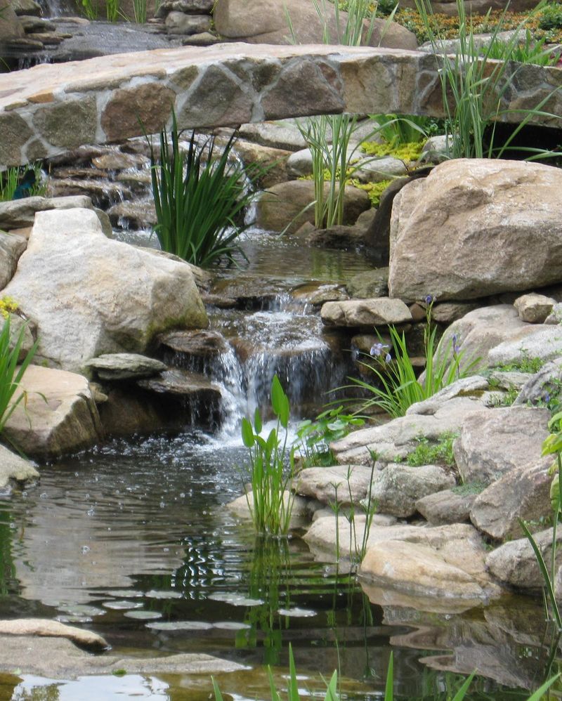 Incorporate Water Features