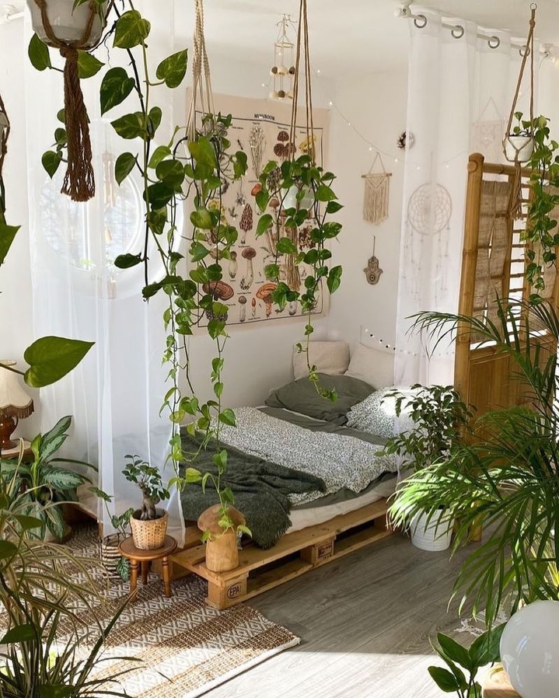 Indoor Flower Beds