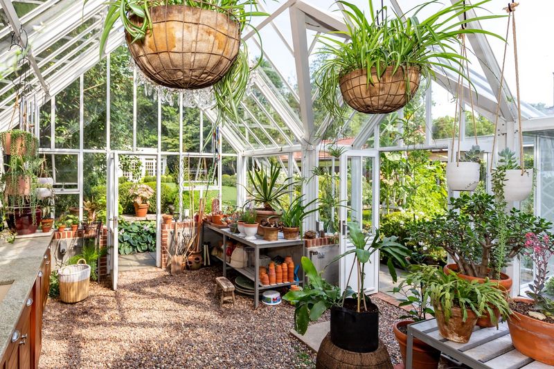 Indoor Greenhouses