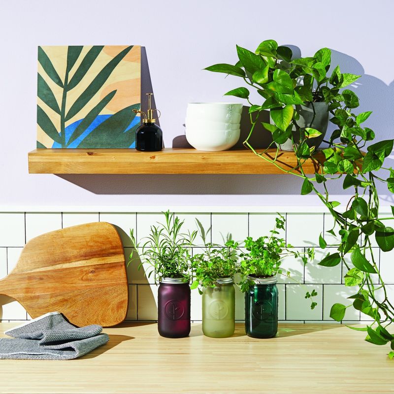 Indoor Herb Garden Kit