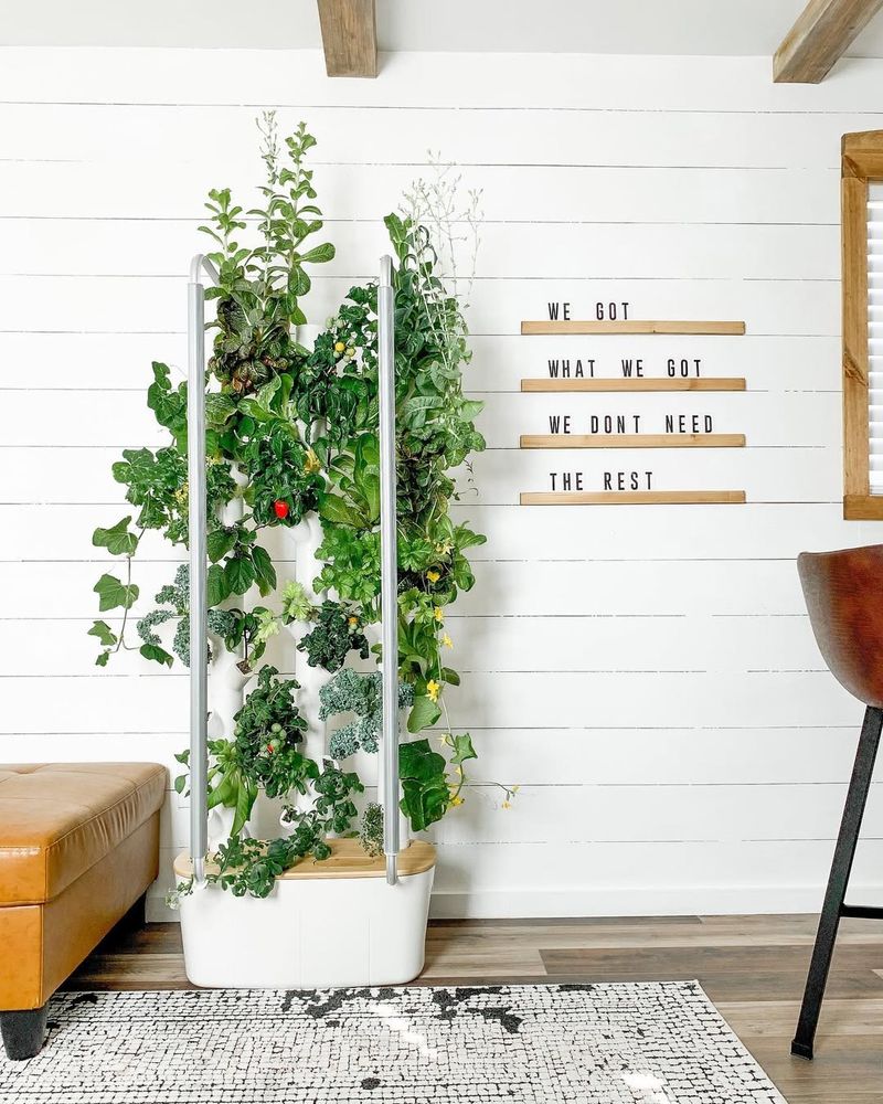 Indoor Hydroponic System
