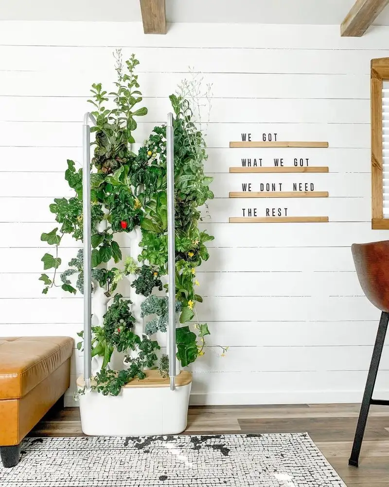 Indoor Hydroponic System