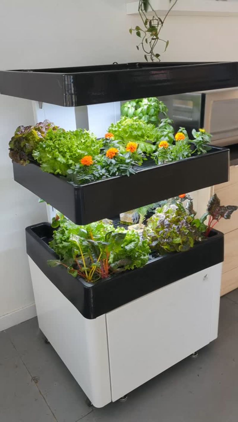 Indoor Hydroponic System
