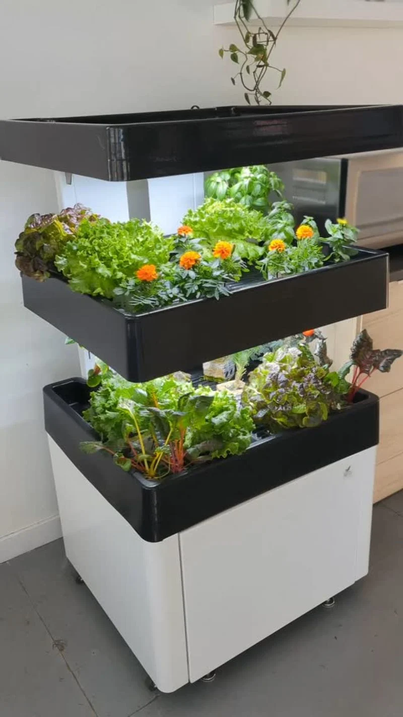 Indoor Hydroponic System