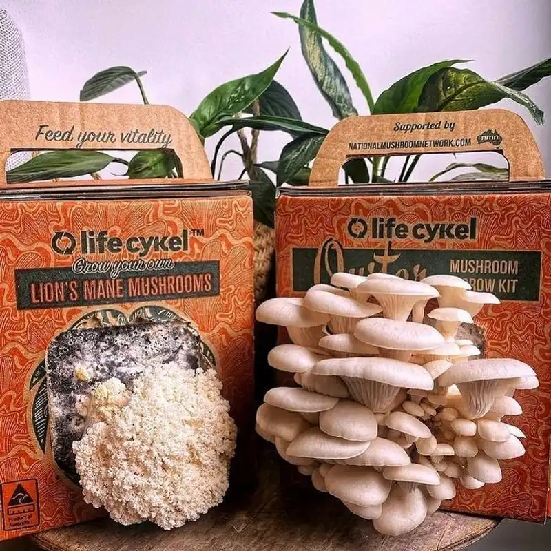 Indoor Mushroom Kits