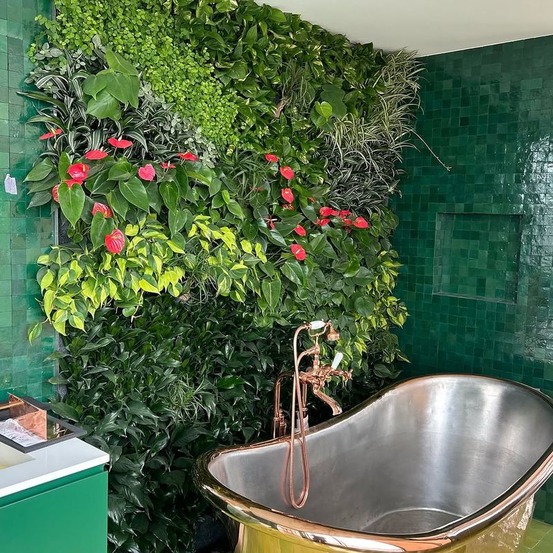Indoor Plant Spa Day