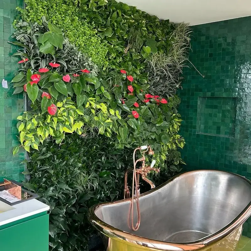Indoor Plant Spa Day