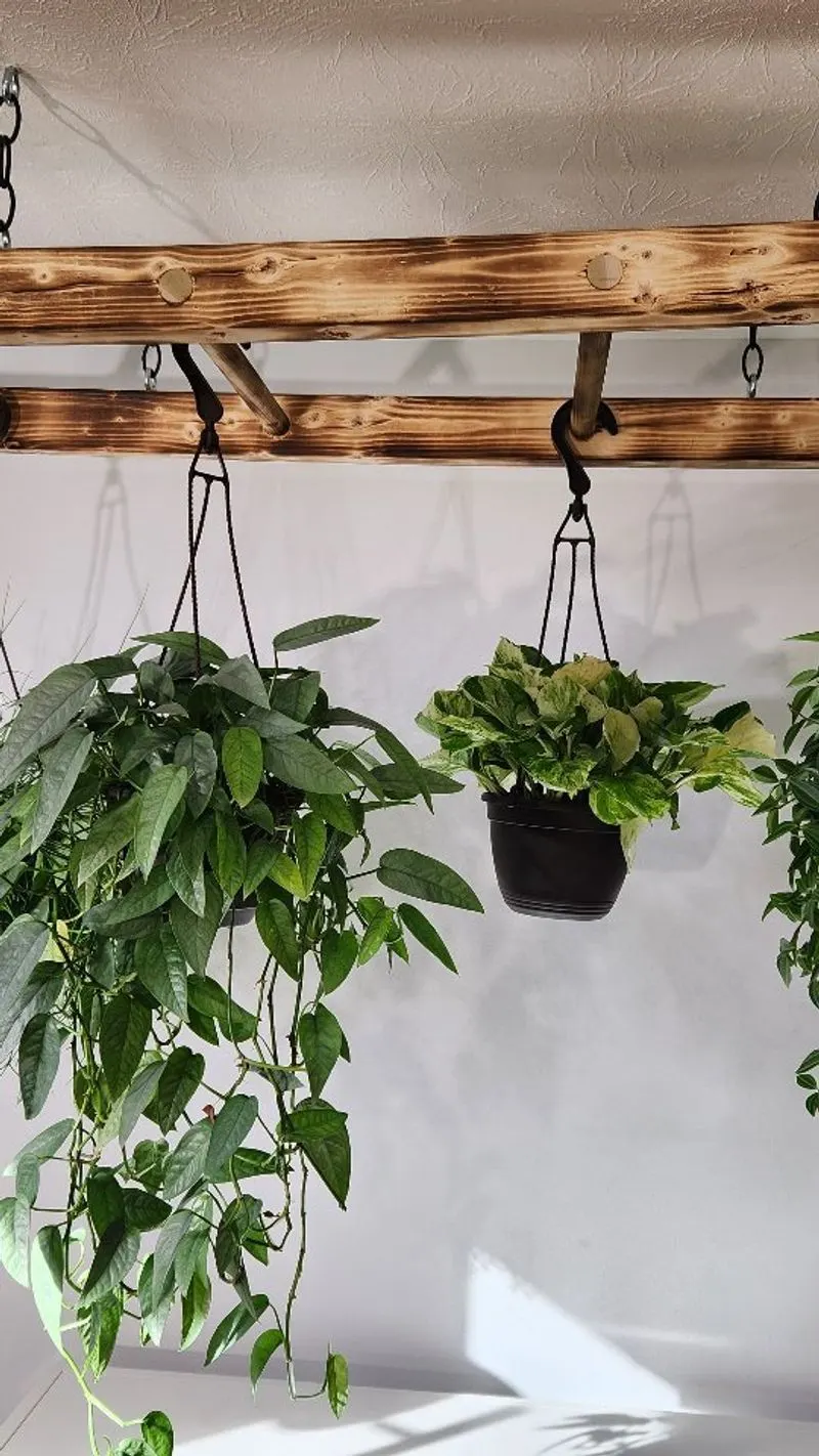 Industrial Pipe Hanger