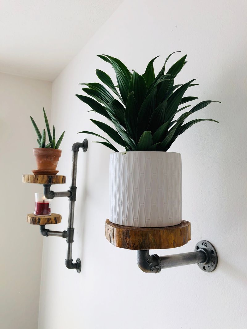 Industrial Pipe Plant Hangers