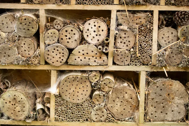 Insect Hotel Construction