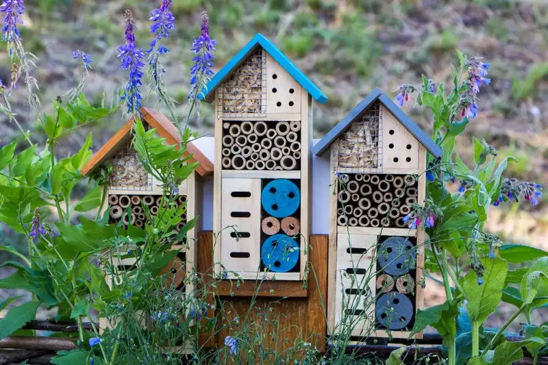 Insect Hotel