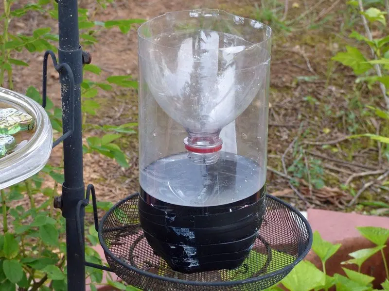 Insect Trap from Plastic Bottles