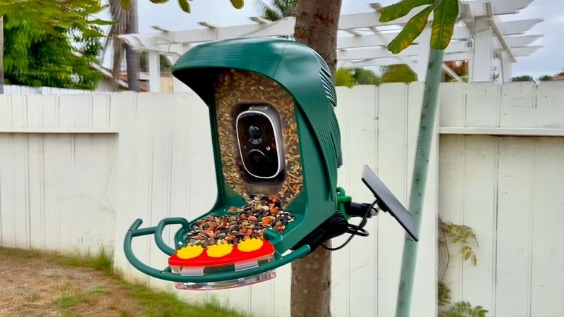 Install a Bird Feeder