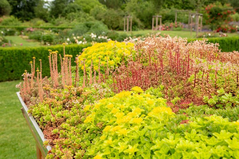 Install a Green Roof