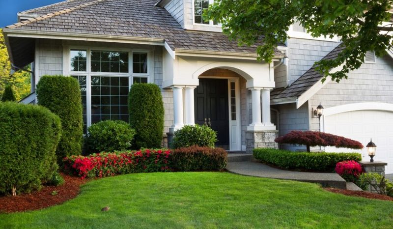 Investing in Professional Landscaping