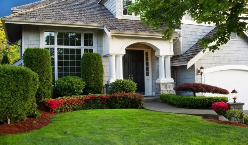 Investing in Professional Landscaping