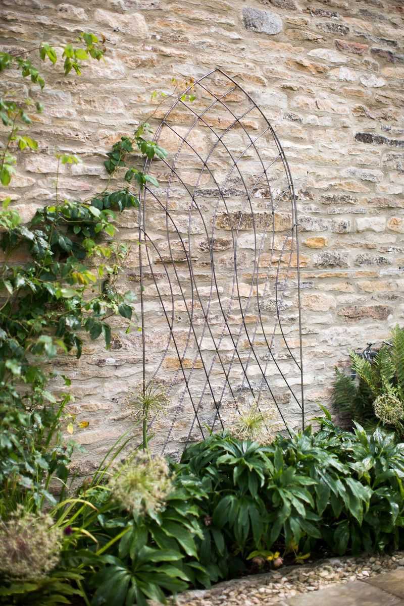 Intricate Trellis Designs