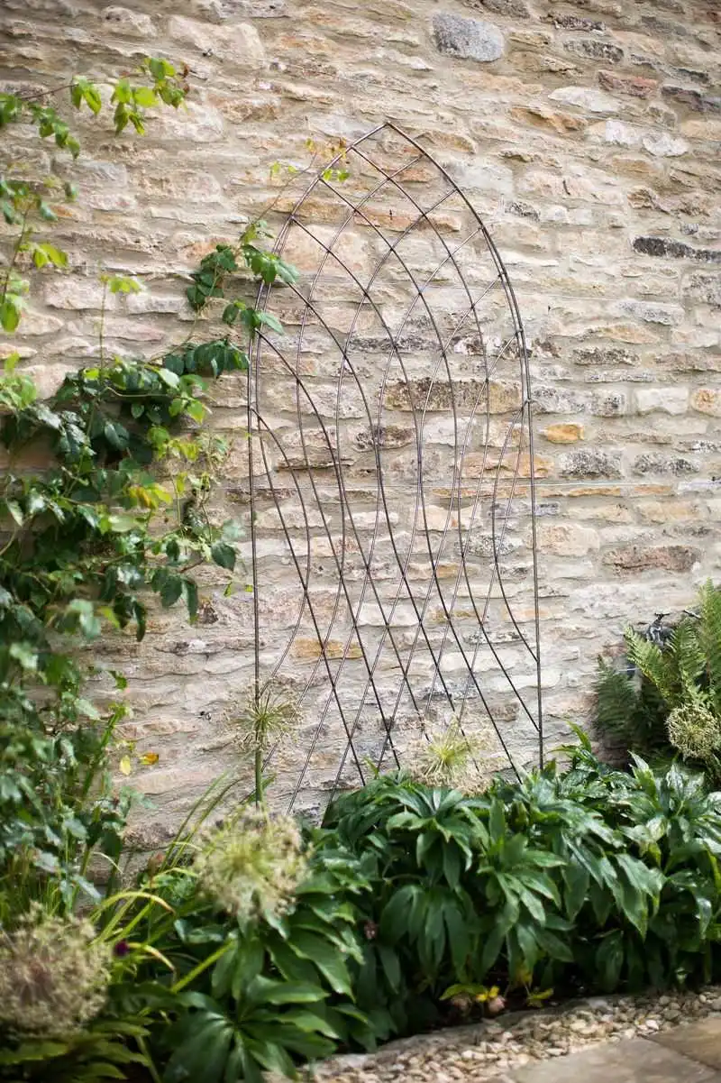 Intricate Trellis Designs